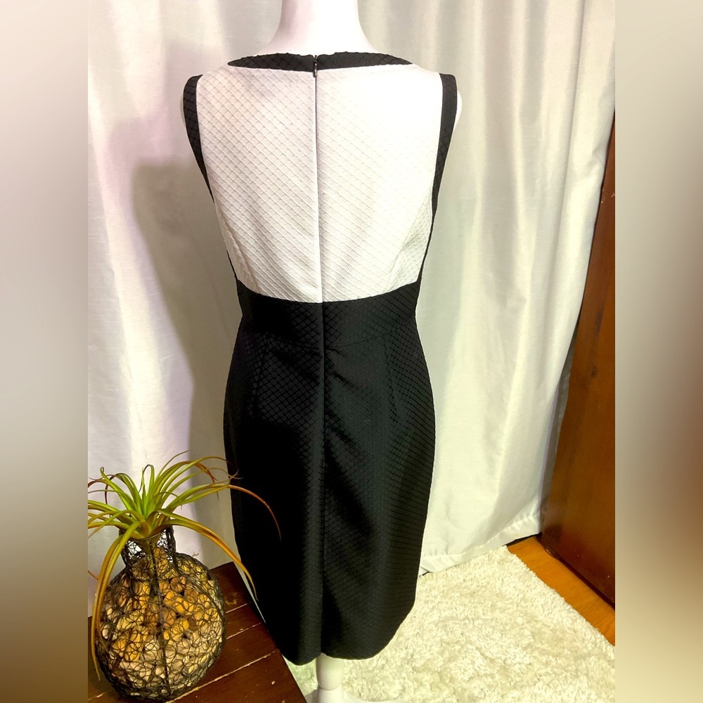 Tahari ASL Dress - Picture 9 of 14